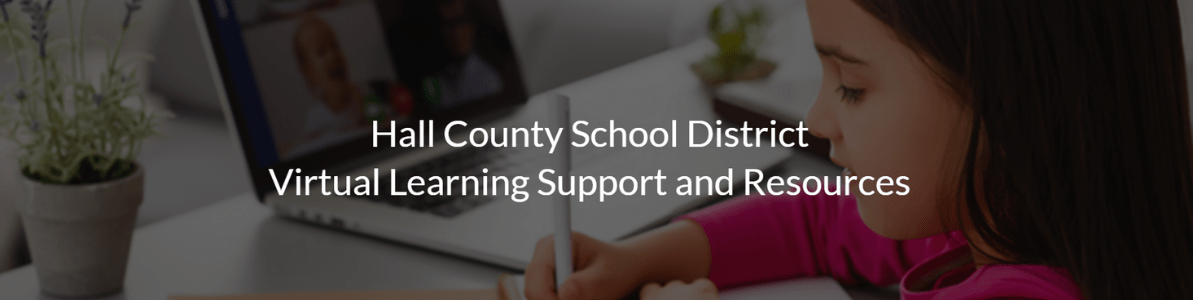 Virtual Learning and Support